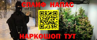 стаф Бузулук