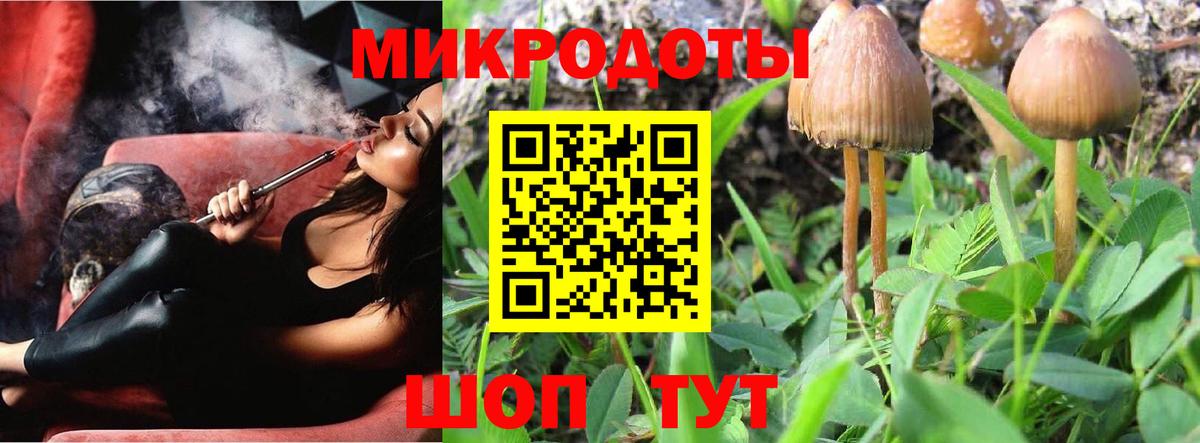 Псилоцибиновые грибы прущие грибы  Вход с VPN  Лесной 